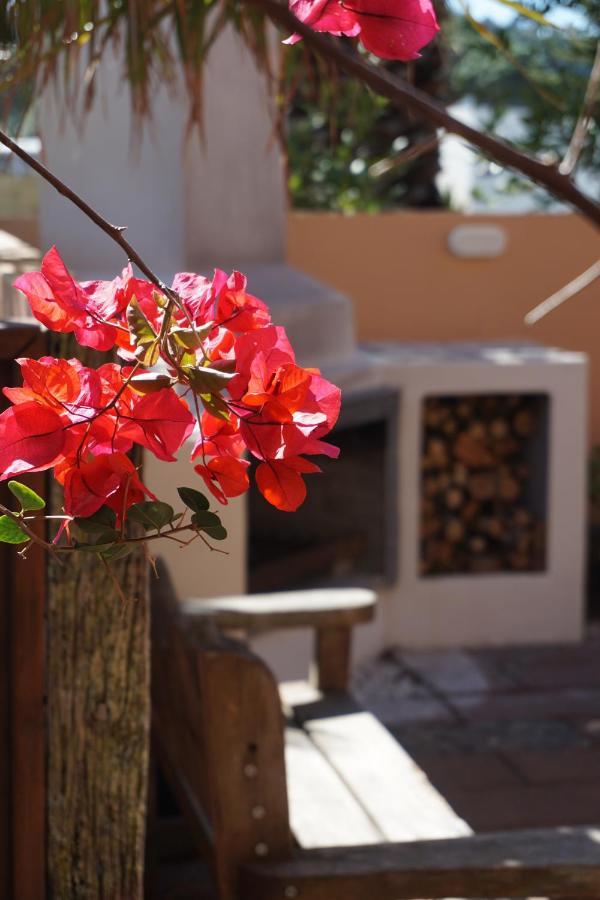 La Dolce Vita Whangamata Bagian luar foto